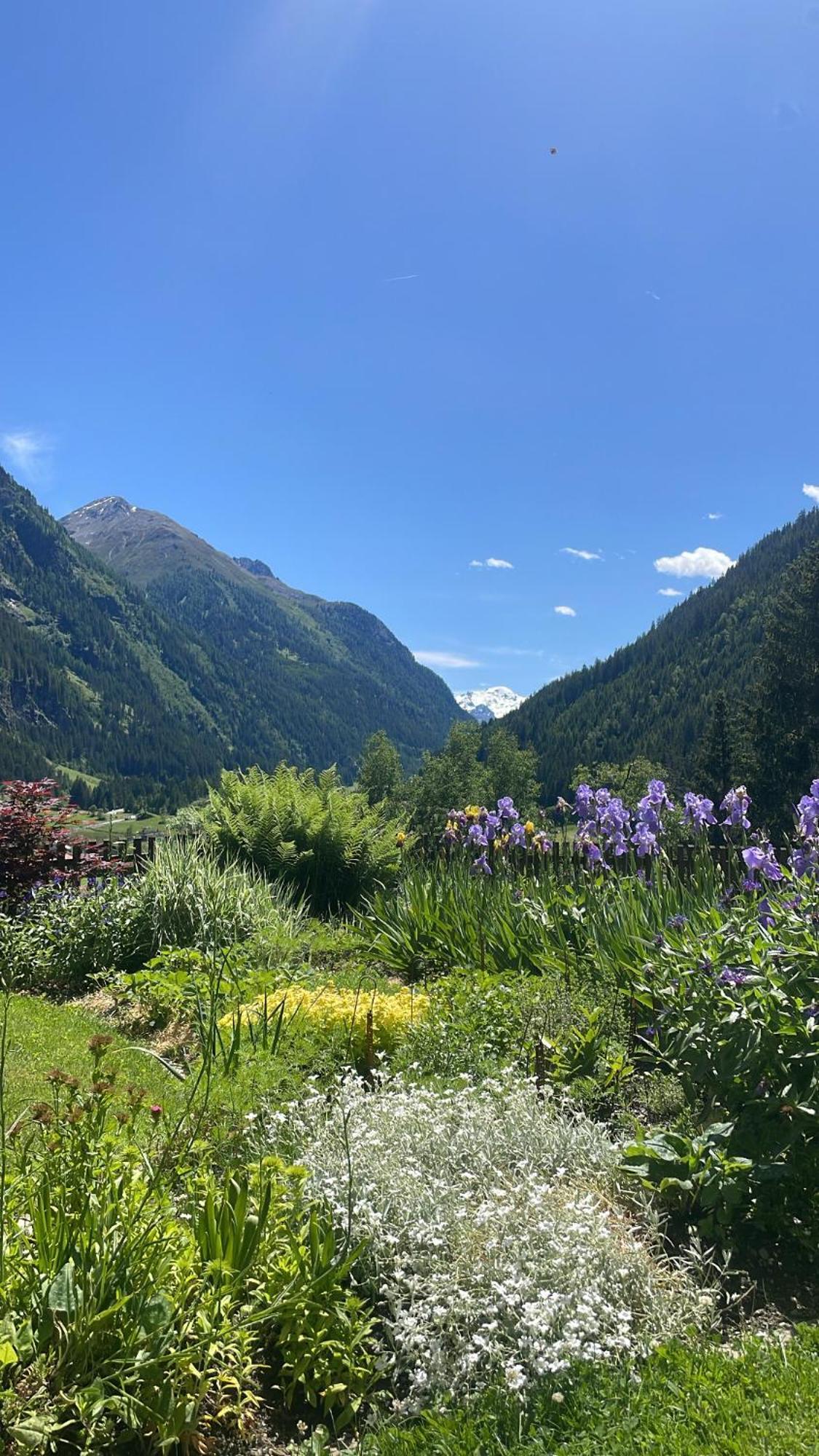 Apart Sonnenheim Kaunertal Eksteriør bilde