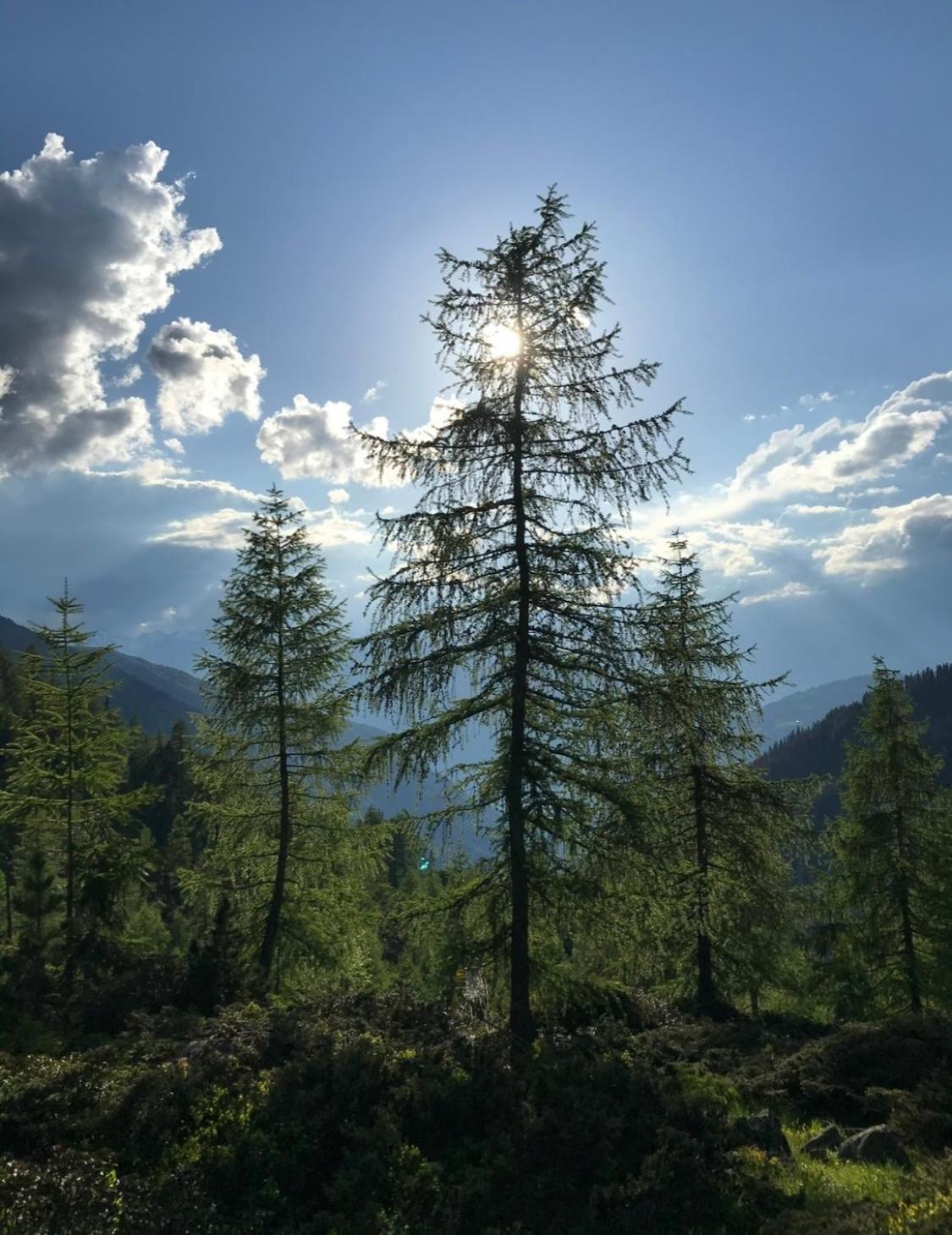 Apart Sonnenheim Kaunertal Eksteriør bilde